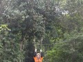 Tn DSC 4270